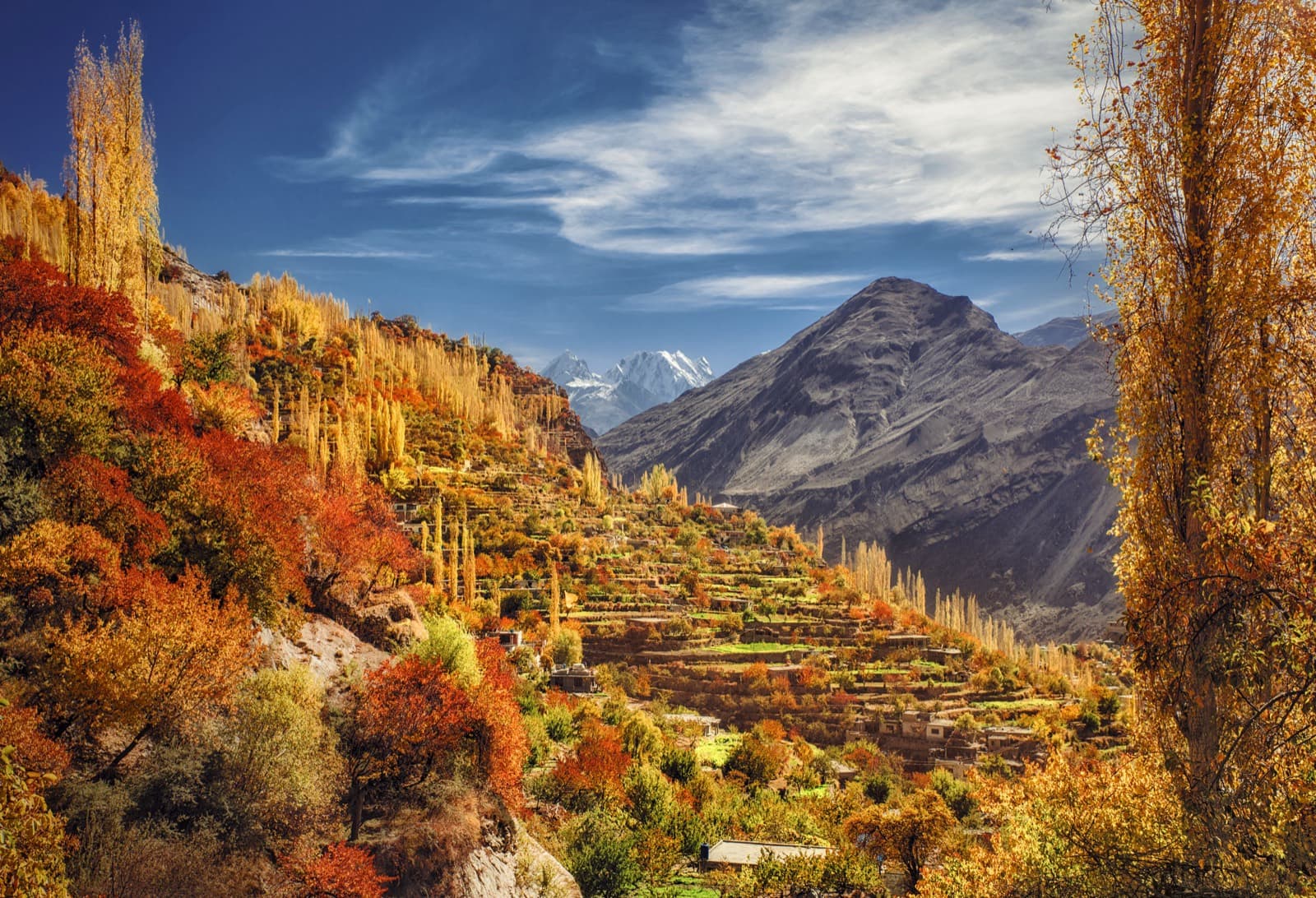 Autumn colours across terraced orchards in Hunza